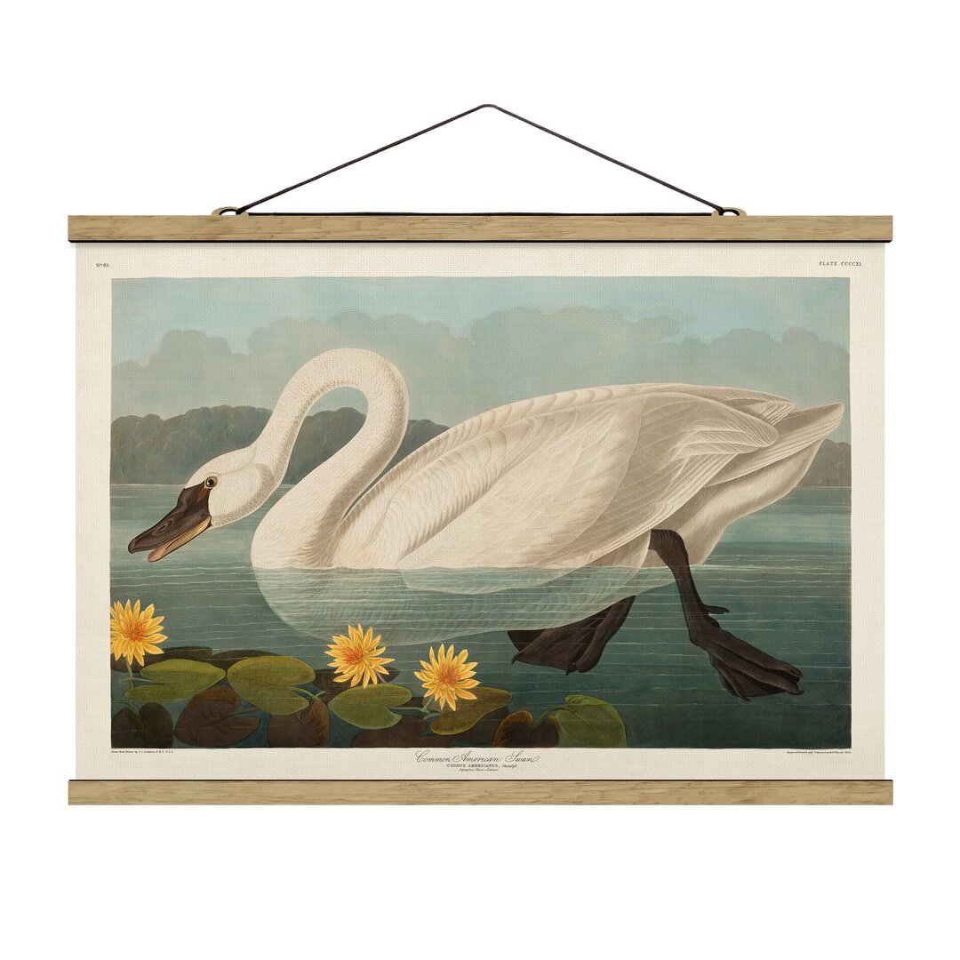 Wandbild Vintage American Swan Teaching Board