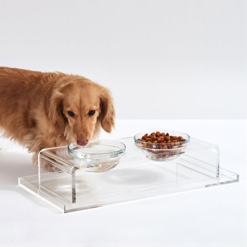 Glass Bowl Clear Elevated Feeder, 2 Cups