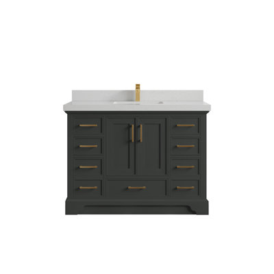 Charlotte 48'' Single Bathroom Vanity with Top