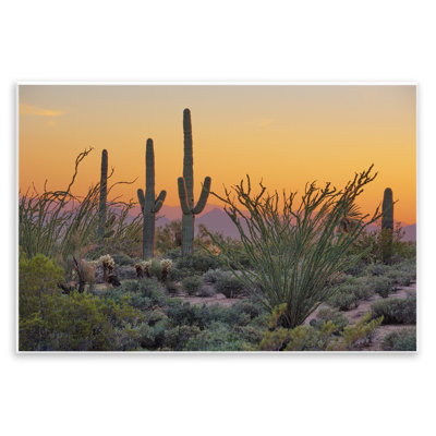 Coucher de soleil sur paysage désertique, cactus par Marty Hulsebos