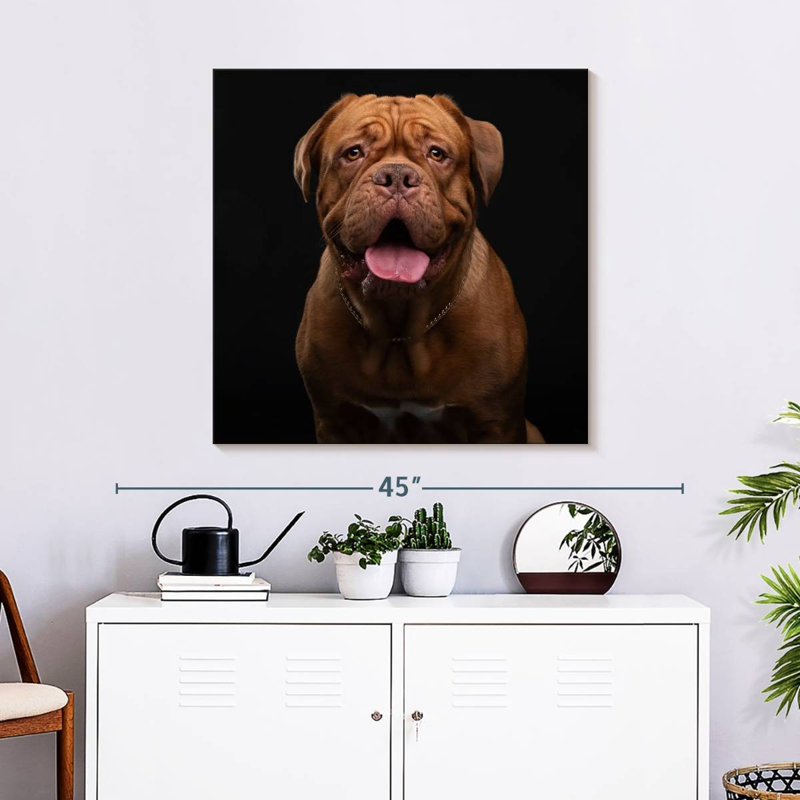 Crowle Bordeaux Mastiff, H 30 po x l 30 po