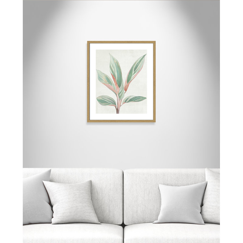 Ginger Plant I - reproduction d'art, H 25,5 po x l 21,5 po x P 0,75 po, Toile avec cadre en bois beige