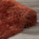Petrey Indoor Rug