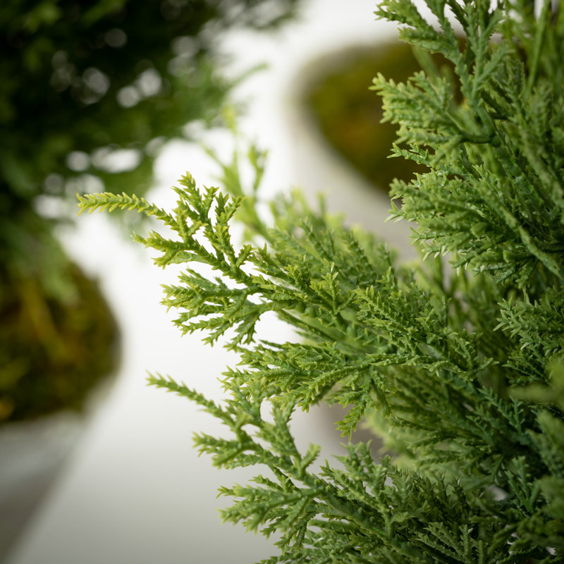 Simms 32'' Faux Cedar Tree in Cement Pot