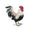 Statue de jardin en métal Verde Rooster-1645474843