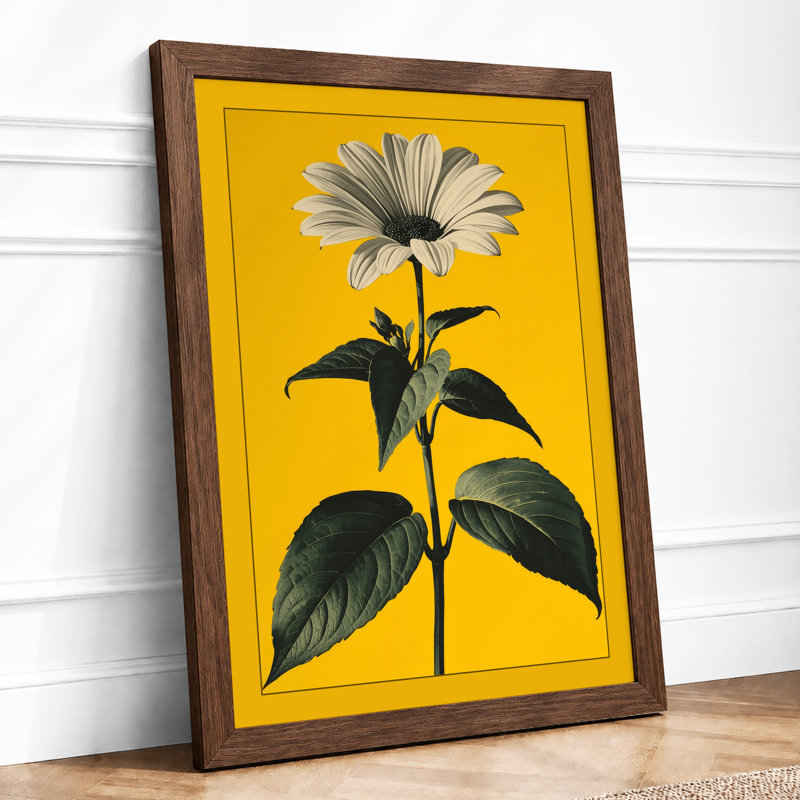 Golden Daisy Botanical - Framed Print, A2 - 59.4 x 42.0 cm, Walnut