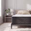 Rebrilliant Mattress-333590482-333590486