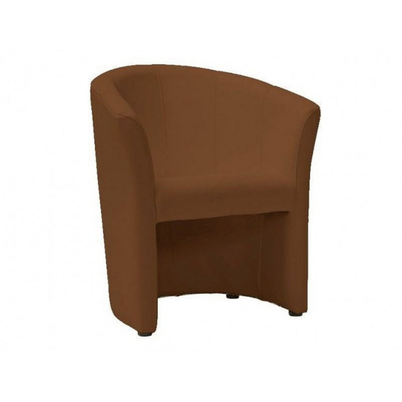 Casey-Rae Upholstered Accent Chair, Light Brown