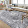 Sirach Washable Indoor Rug