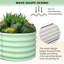 Planter-596317413-596317412