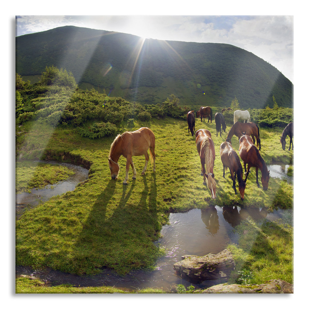 Glasbild Pferde auf Wiese