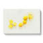 Lemon Fruit In Abstract - Wrapped Canvas-55310870