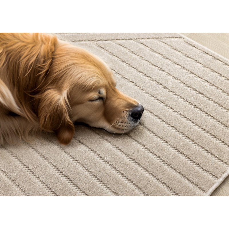 Tapis gris Martaveous, Rectangle 7 pi 10 po x 10 pi 6 po