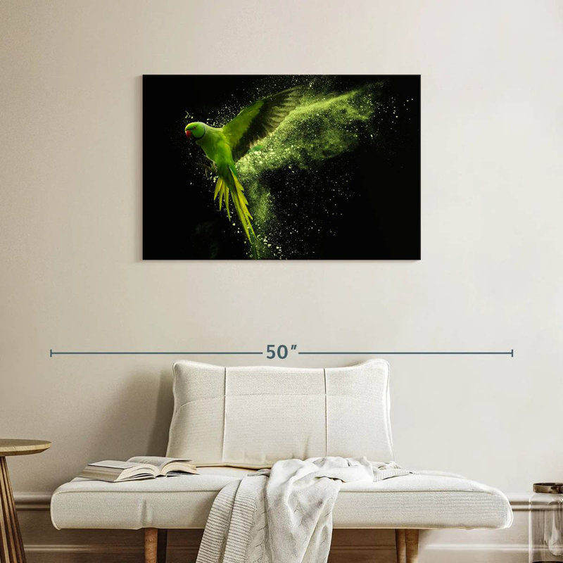Alexandrine Parakeet, 24" H x 36" W