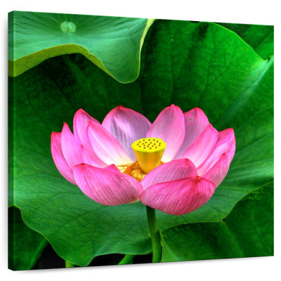 Harnek Flourishing Lotus