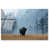 High-Gloss Acrylic Print is unavailable