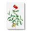 Pomegranate Tree Branch by Pierre-Joseph Redoute - Wrapped Canvas Print-55322578