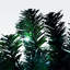 Arbre de Noël artificiel éclairé 6 pi