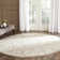 Carman Performance Damask Rug