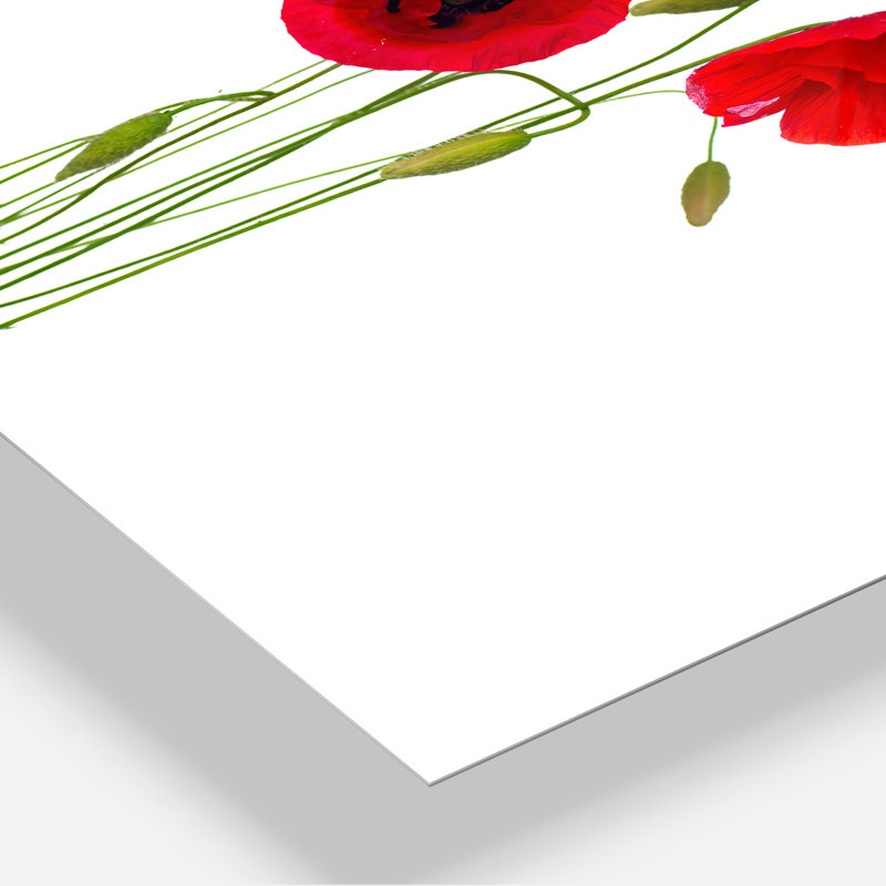 «Isolé rouge coquelicot», impression, H 40 po x l 30 po x P 1 po, Métal métal