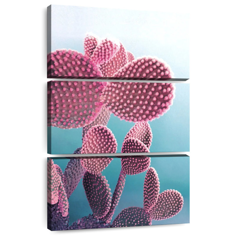 Candy Cactus