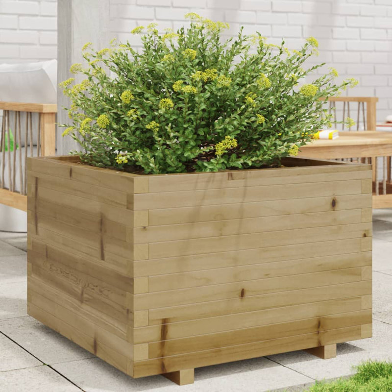 Bhavika Planter Box, 19.49" H x 27.56" W x 27.56" D, Impregnated 