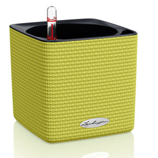 Cube Pot Planter