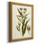 Toile encadrée de qualité supérieure Olive Greenery-2078676377