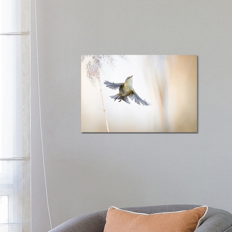 Ethereal by Mateusz Piesiak - Wrapped Canvas Print