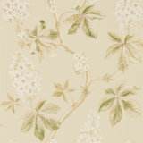 Chestnut Tree Wallpaper