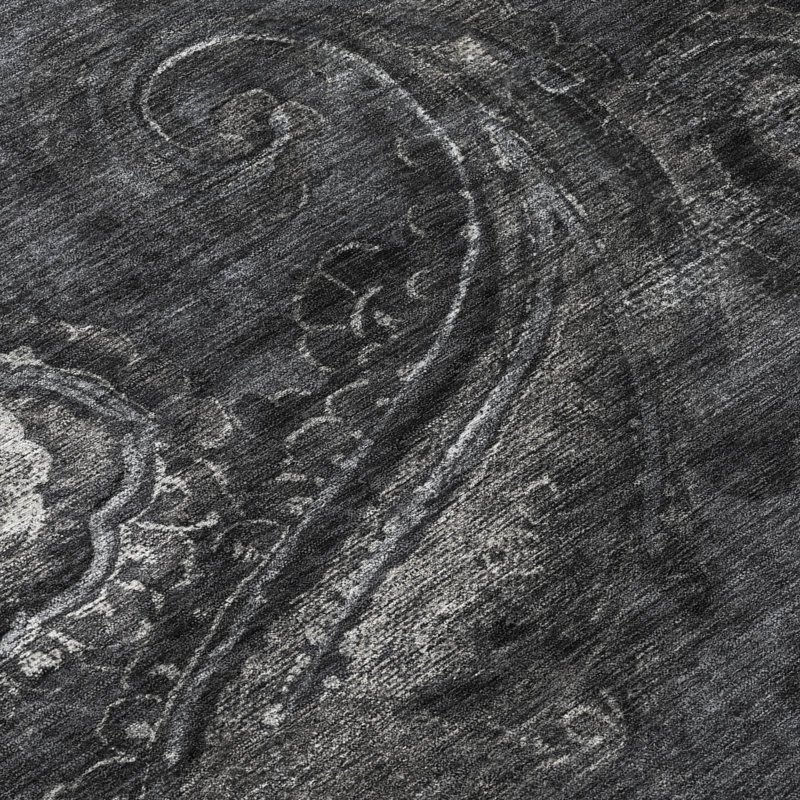 Machine Washable Indoor/Outdoor Chantille ACN2748 Paisley Rug, 3' x 5', Charcoal