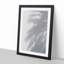Shadows of the Palm Tree - Picture Frame Painting Print-55619015-55619020