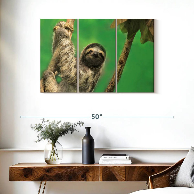 Brampt Clinging Sloth, 24" H x 38" W