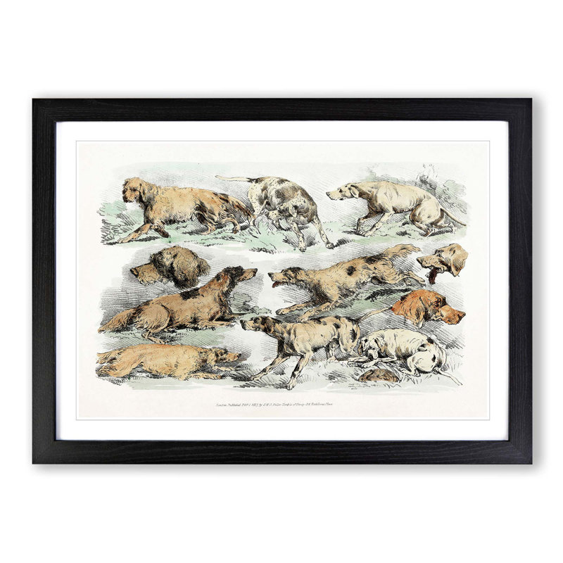 Illustration of Hounds by Henry Alken - Picture Frame Painting Print, Black Framed, 48cm H x 65cm W x 2cm D