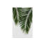 «Palm Leaf II» par Orara Studio - impression d'art graphique sur-1686404398-1686404443-1686404433