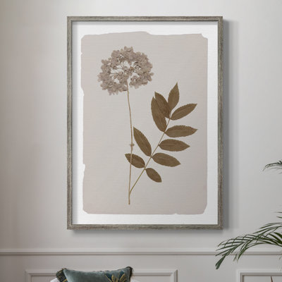 Monochrome Botanical IV Framed Print - Solid Wood 50194