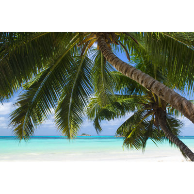White Coral Beach 1 Piece Wrapped Canvas Wall Art
