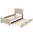 Twin-Sized Velvet-Upholstered Platform Bed With An Integrated Twin-Sized Trundle Bed-163587143