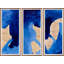 Mozambique Triptych Framed Painting