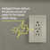 radiant 15A Tamper-Resistant with Ultra-Fast 6.0A USB PLUS Power Delivery Type C/C Outlet