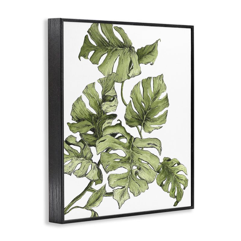 La chute des feuilles de Monstera par Dominique Alyse Studios bg-144, H 14 po x l 11 po, Giclée encadrée noir minuit