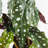 40cm Faux Tree in Metal Planter