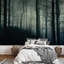 Murale forêt brumeuse la nuit-88769643