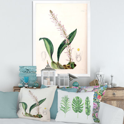 " Vintage London Plants V " Painting Print