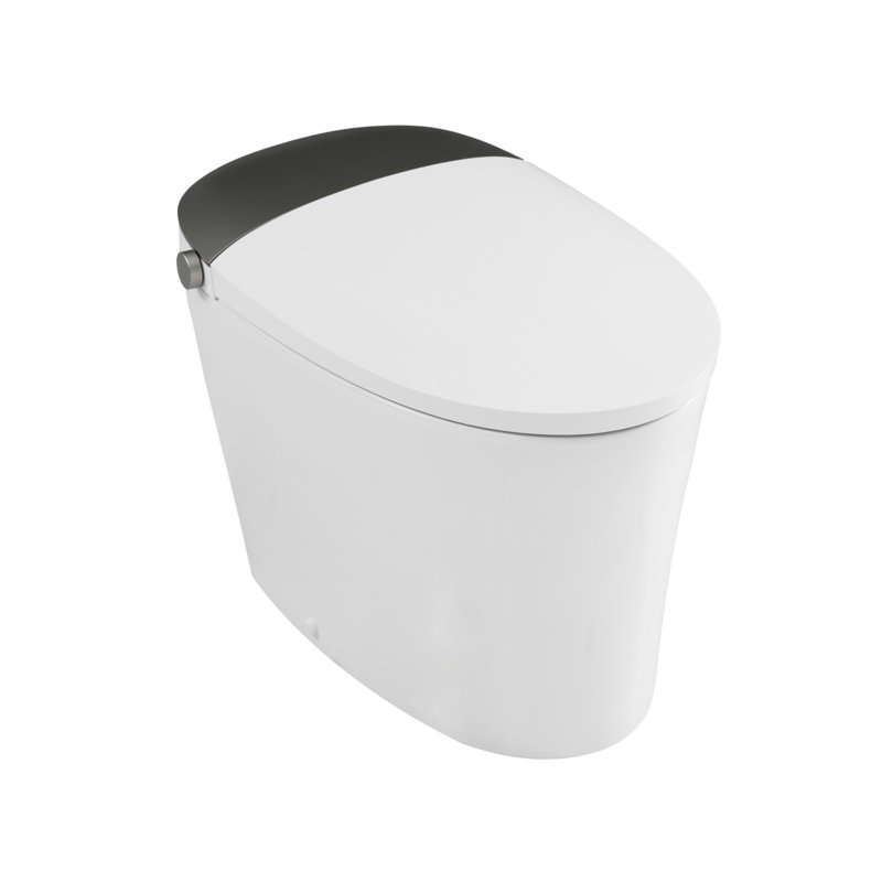 Extended-Length Smart Toilet With Wash Function, Warm Water/Dryer, Night Light, Dual Flush 1.1/1.6 GPF, Suitable For Bathrooms.