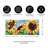 Sassafras 5 Piece Welcome Mat and Frame Set with All Season Inserts and 1 Rubber Frame