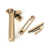 Polished Bronze