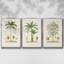 " Antique Tree With Fruit II " 3 - Pieces-97759680-97759681