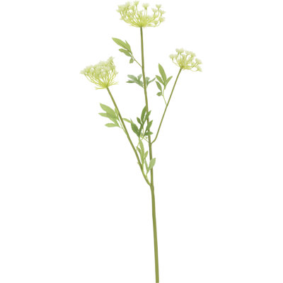 Lace Flower - 30 Inches Box of 12