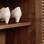 Double-Door Japanese-Style Shoe Storage Cabinet